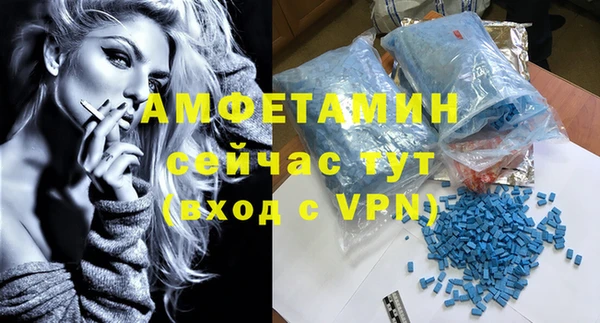 мдпв Богданович