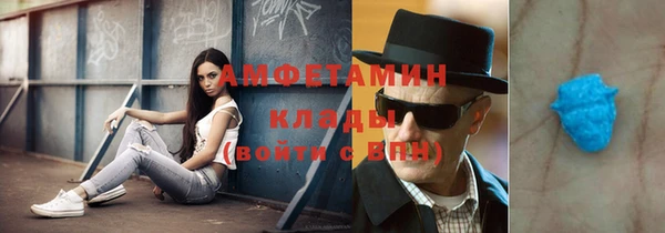 мдпв Богданович
