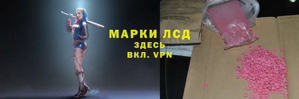 мдпв Богданович