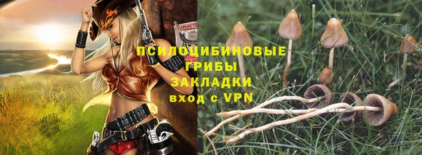 мдпв Богданович