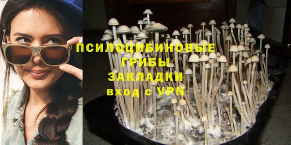 ECSTASY Аркадак