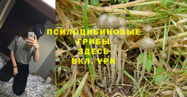 соль курить ск Богородицк