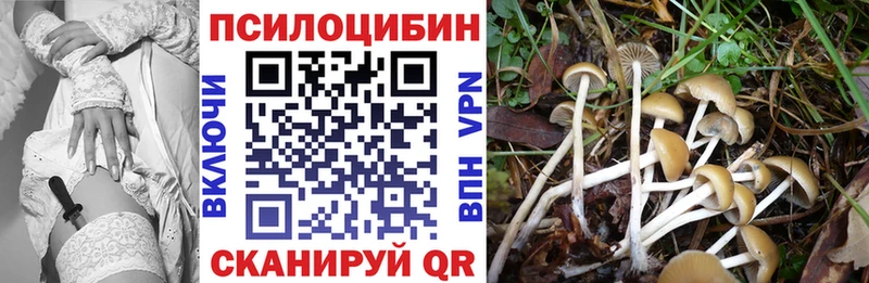 купить цена Голицыно Псилоцибиновые грибы Magic Shrooms